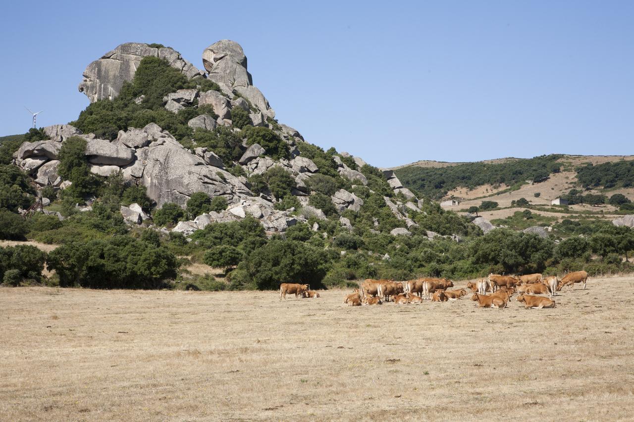 Locanda Li Manni Aggius Экстерьер фото