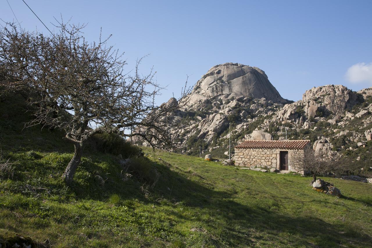 Locanda Li Manni Aggius Экстерьер фото