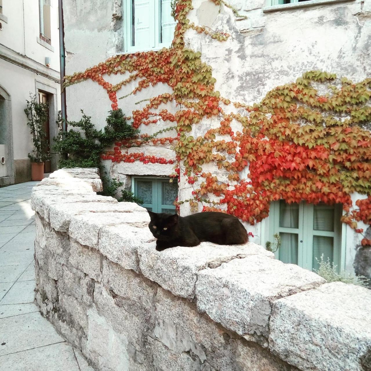 Locanda Li Manni Aggius Экстерьер фото